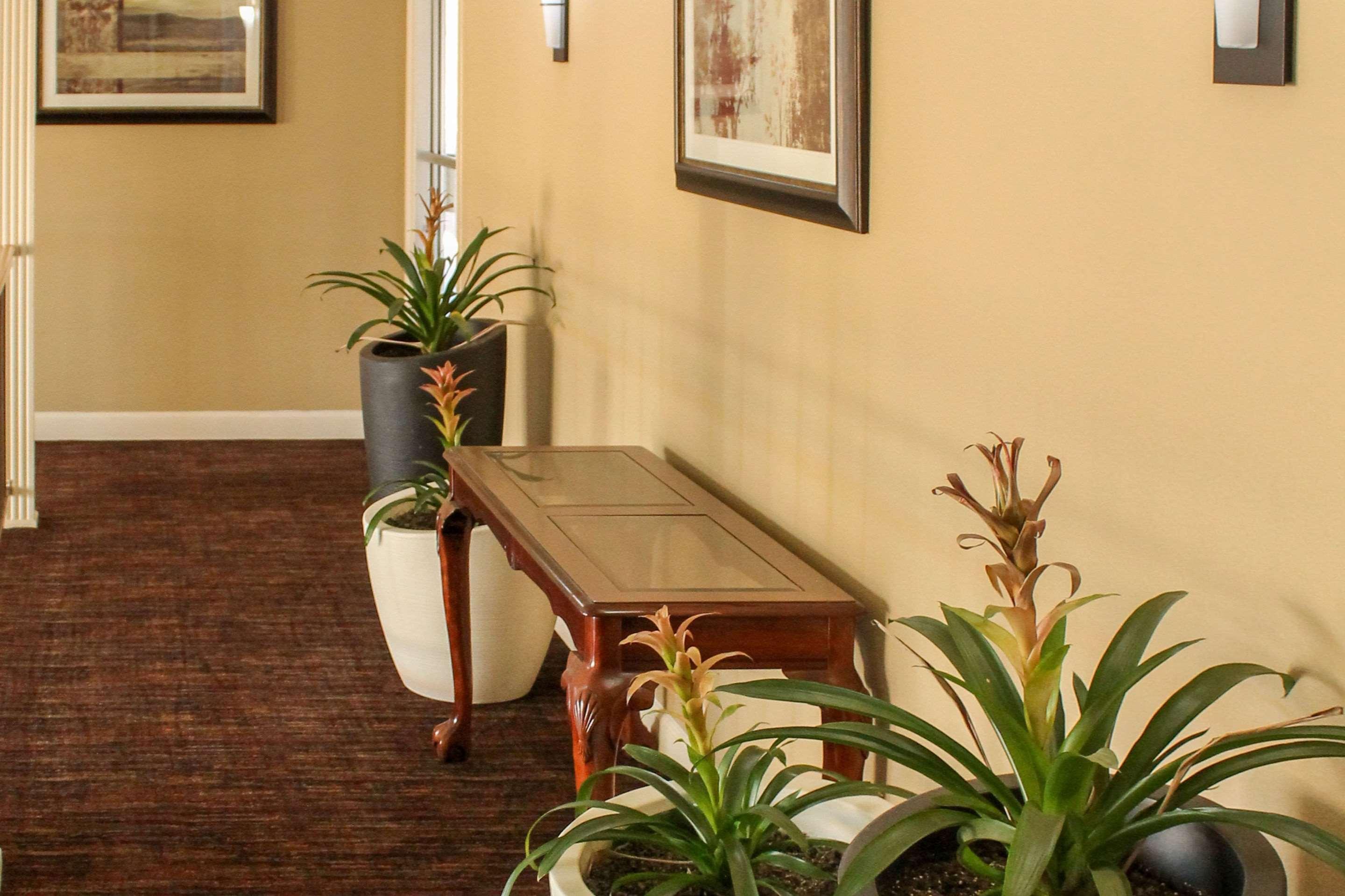 Quality Inn Arkadelphia - University Area מראה חיצוני תמונה